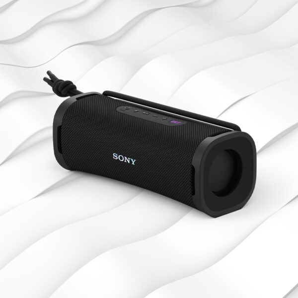 sony-portable-wirelss-speaker-product